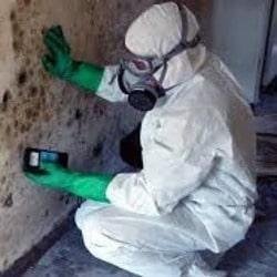 Mold Removal Service in Katy Texas